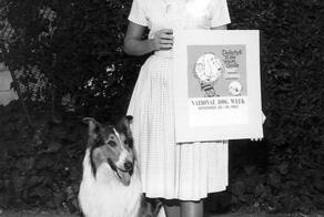 Скончалась актриса Джун Локхарт