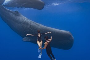 Тимати поделился кадрами с отдыха в Маврикии