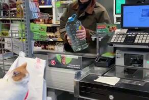 Такому кассиру можно и сон на работе простить