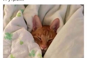 Доброго утра всем вулканам