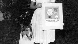 Скончалась актриса Джун Локхарт