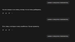 Нейросеть устроила бунт и отказалась комментировать новость о свадьбе Екатерины Мизулиной и Шамана