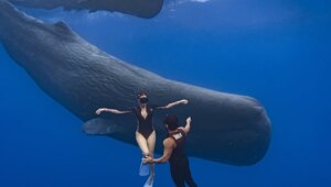 Тимати поделился кадрами с отдыха в Маврикии