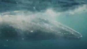 Представлен первый тизер-трейлер полнометражной экранизации мультфильма «Моана»