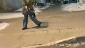 В центре Самары был неожиданно обнаружен слон