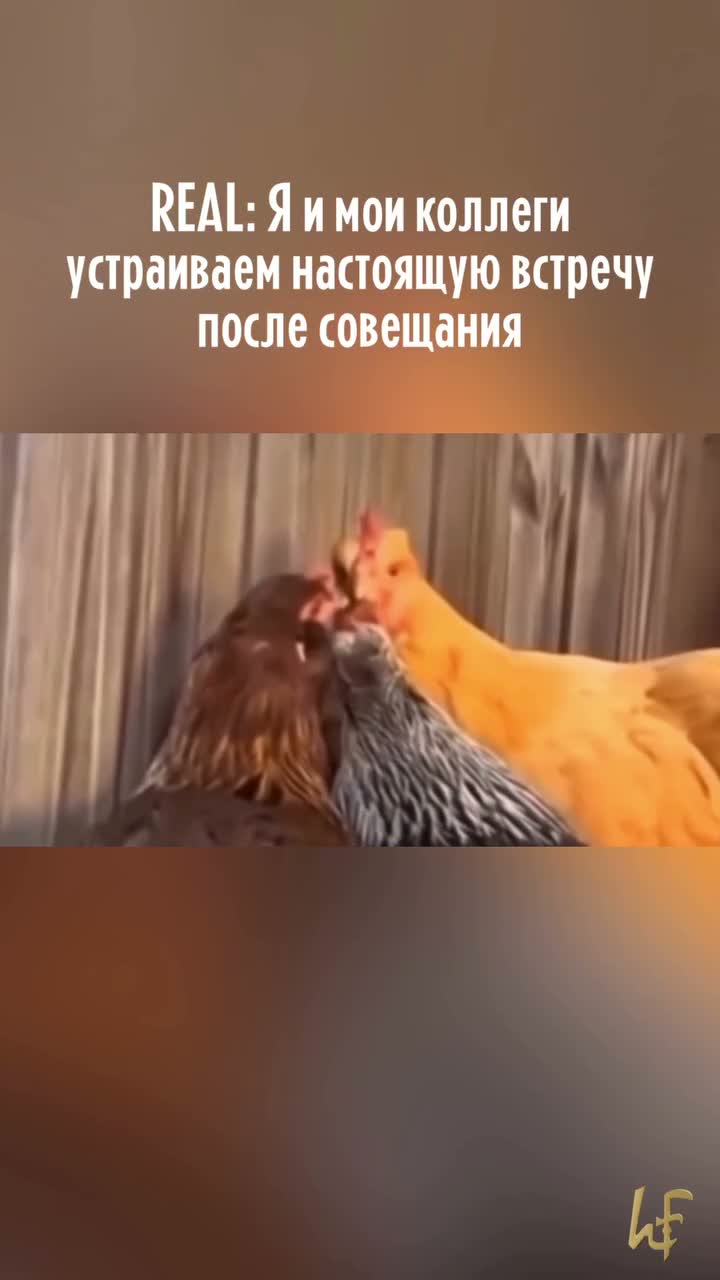 Обычно такие встречи намного интереснее