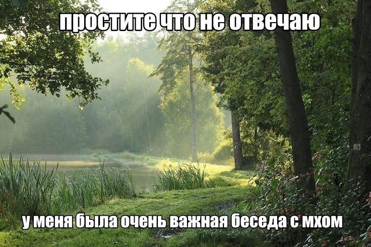 Исследование от издания Financial Times показало, что в 2022 году после длительного периода роста среднее время, проводимое людьми в соцсетях, достигло своего пика и начало снижаться