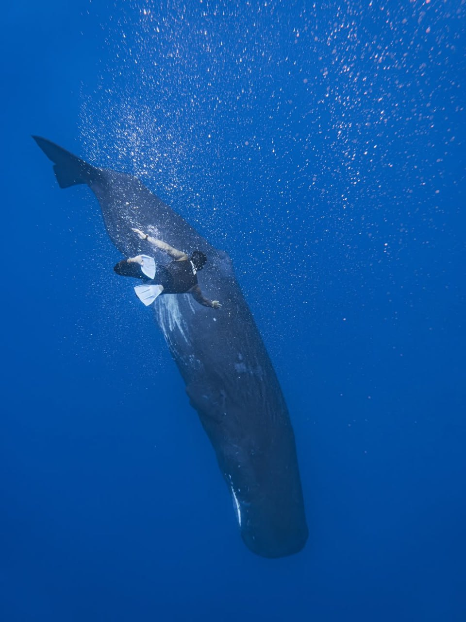 Тимати поделился кадрами с отдыха в Маврикии