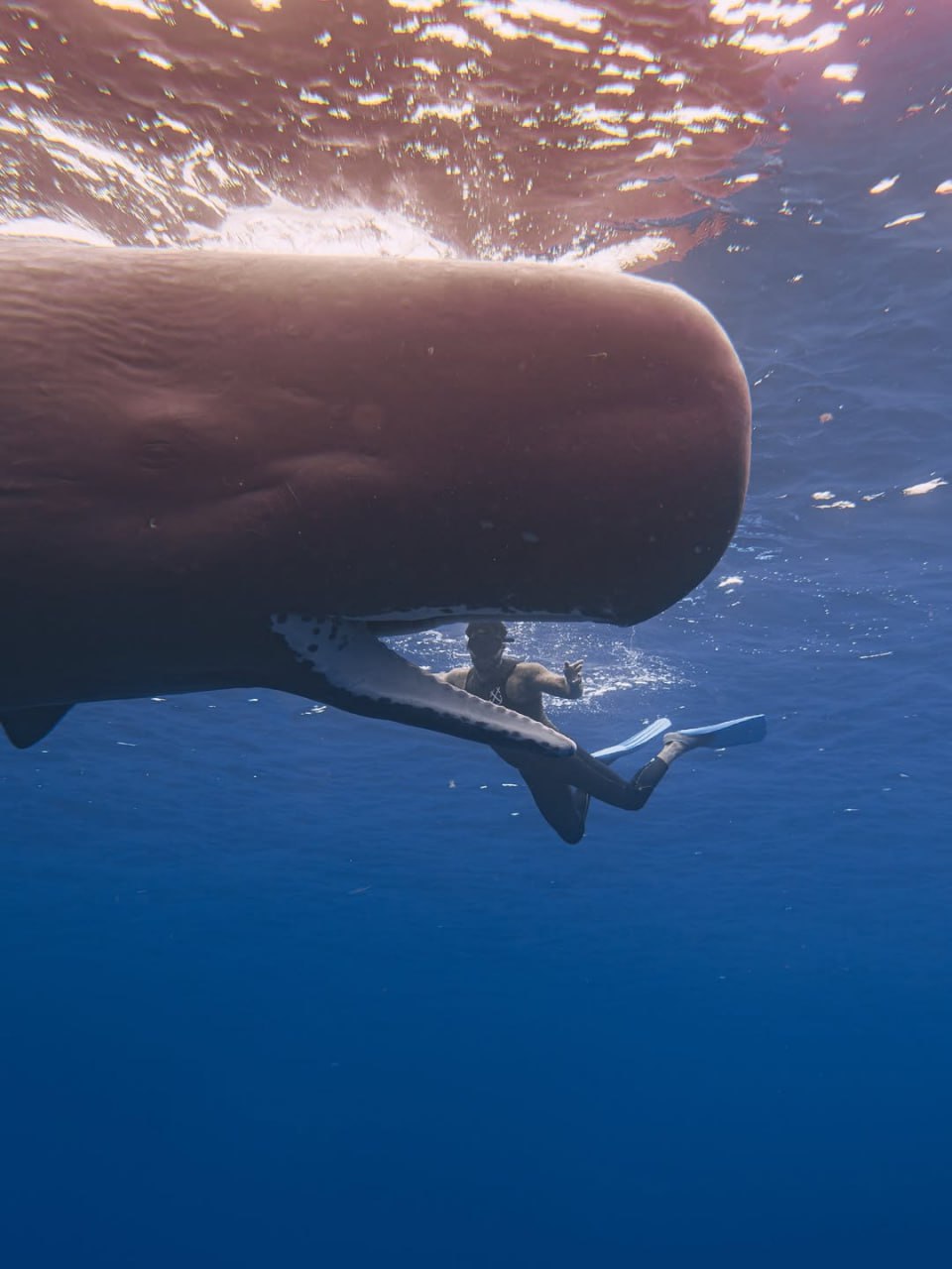 Тимати поделился кадрами с отдыха в Маврикии