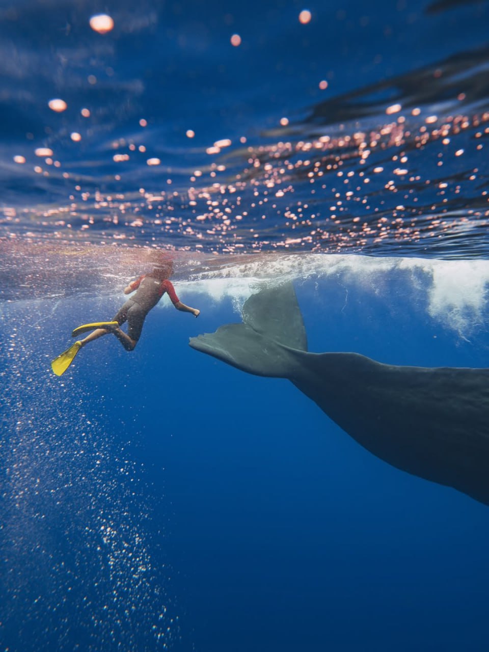 Тимати поделился кадрами с отдыха в Маврикии