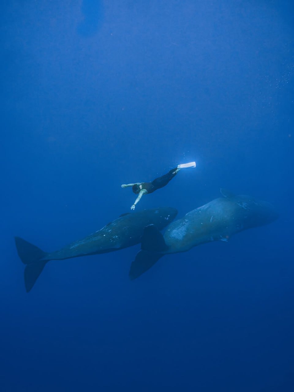 Тимати поделился кадрами с отдыха в Маврикии