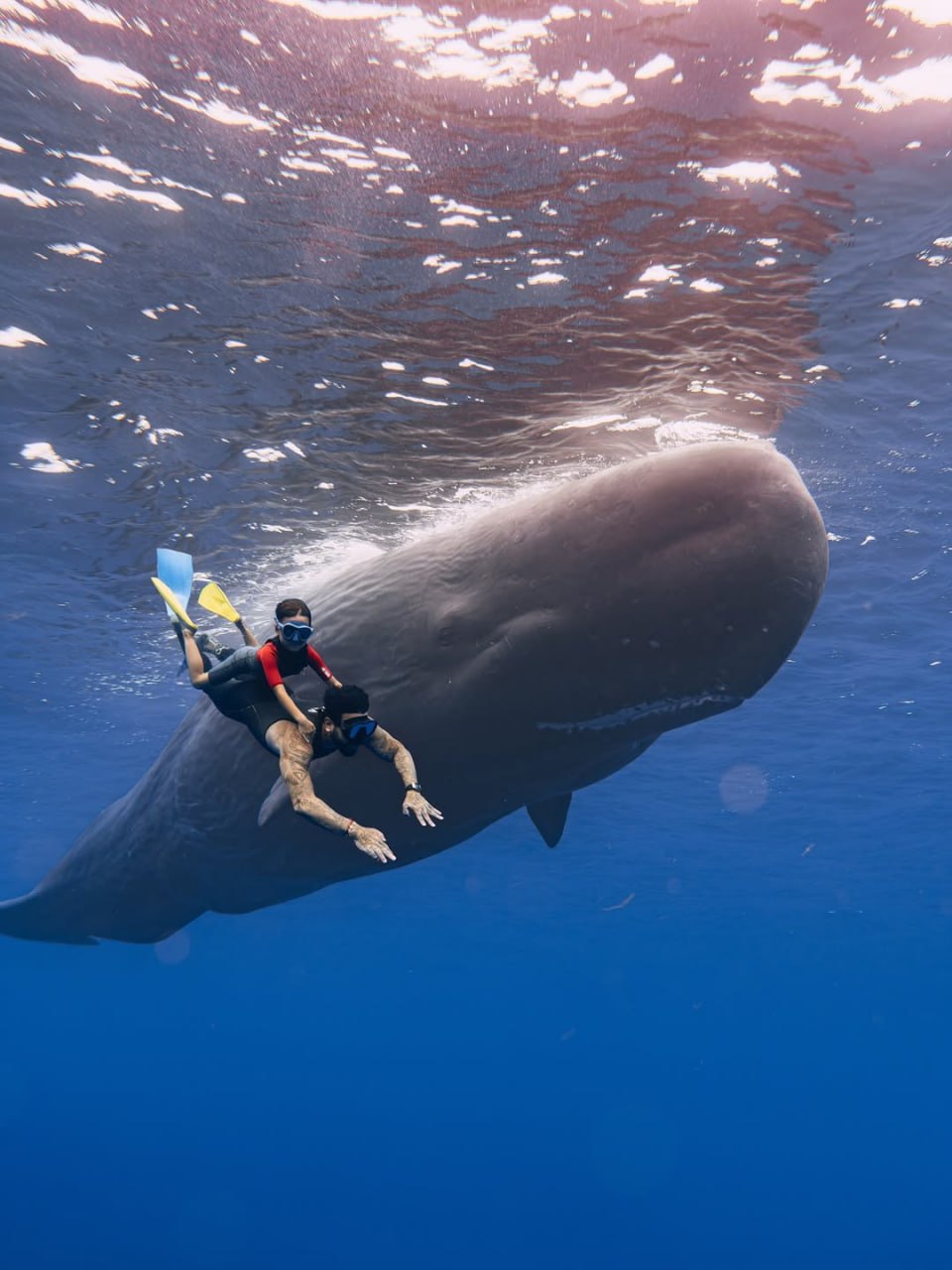 Тимати поделился кадрами с отдыха в Маврикии