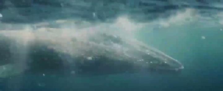 Представлен первый тизер-трейлер полнометражной экранизации мультфильма «Моана»