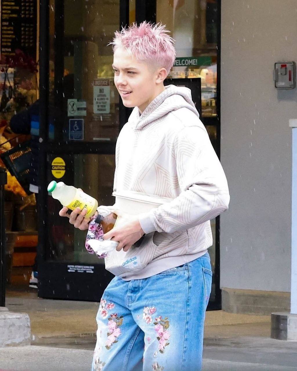 17-летний сын Анджелины Джоли и Брэда Питта Нокс перекрасил волосы в розовый