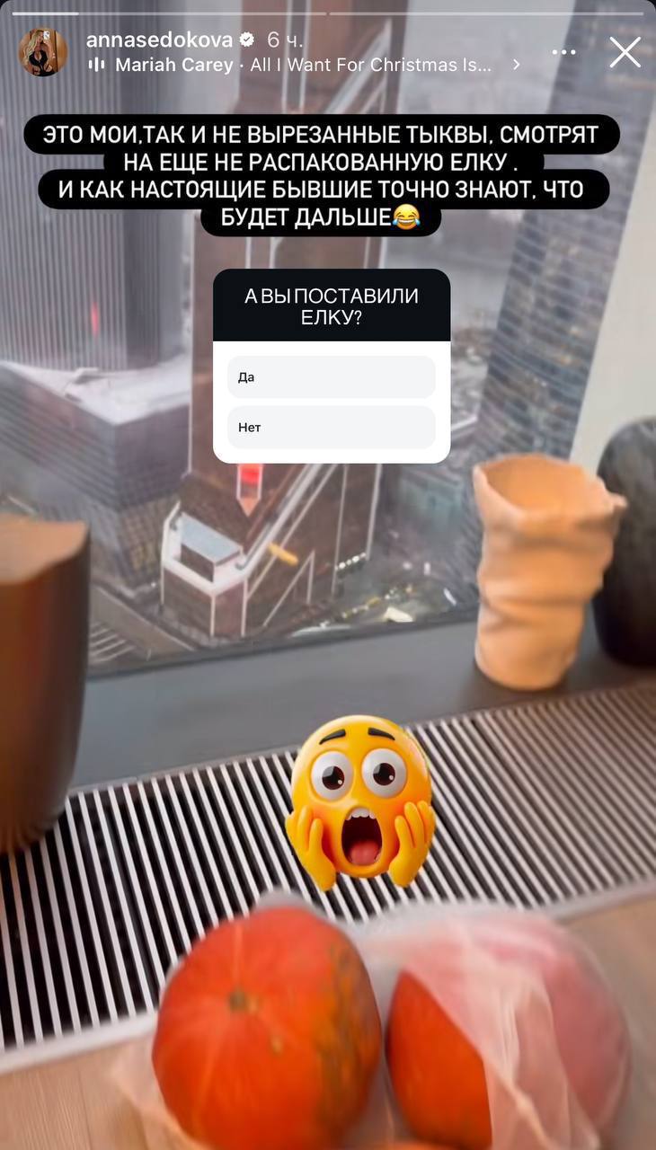 Анна Седакова и ее черный юмор о бывших