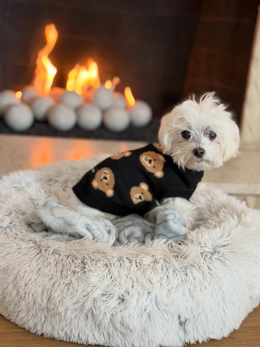 Ана де Армас и ее День благодарения