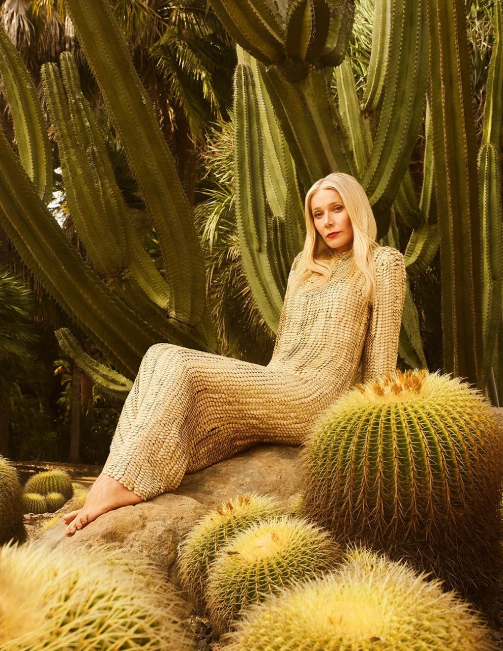  Гвинет Пэлтроу  стала героиней обложки The Hollywood Reporter в рамках выпуска, посвящённого мероприятию Women in Entertainment